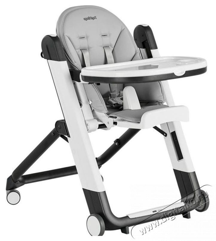 Peg Perego Siesta Follow Me 2 az 1-ben etetősz&eacute;k, Sz&uuml;rke Sz&eacute;ps&eacute;g&aacute;pol&aacute;s / Eg&eacute;szs&eacute;g - Baba mama term&eacute;k - Cumis&uuml;veg / cumi / etet&eacute;s kieg&eacute;sz&iacute;tő - 533677