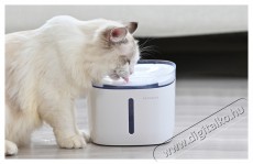 Petoneer Fresco Mini Okos itató kutyáknak és macskáknak PN-110010 Háztartás / Otthon / Kültér - Egyéb háztartási termék - 493169