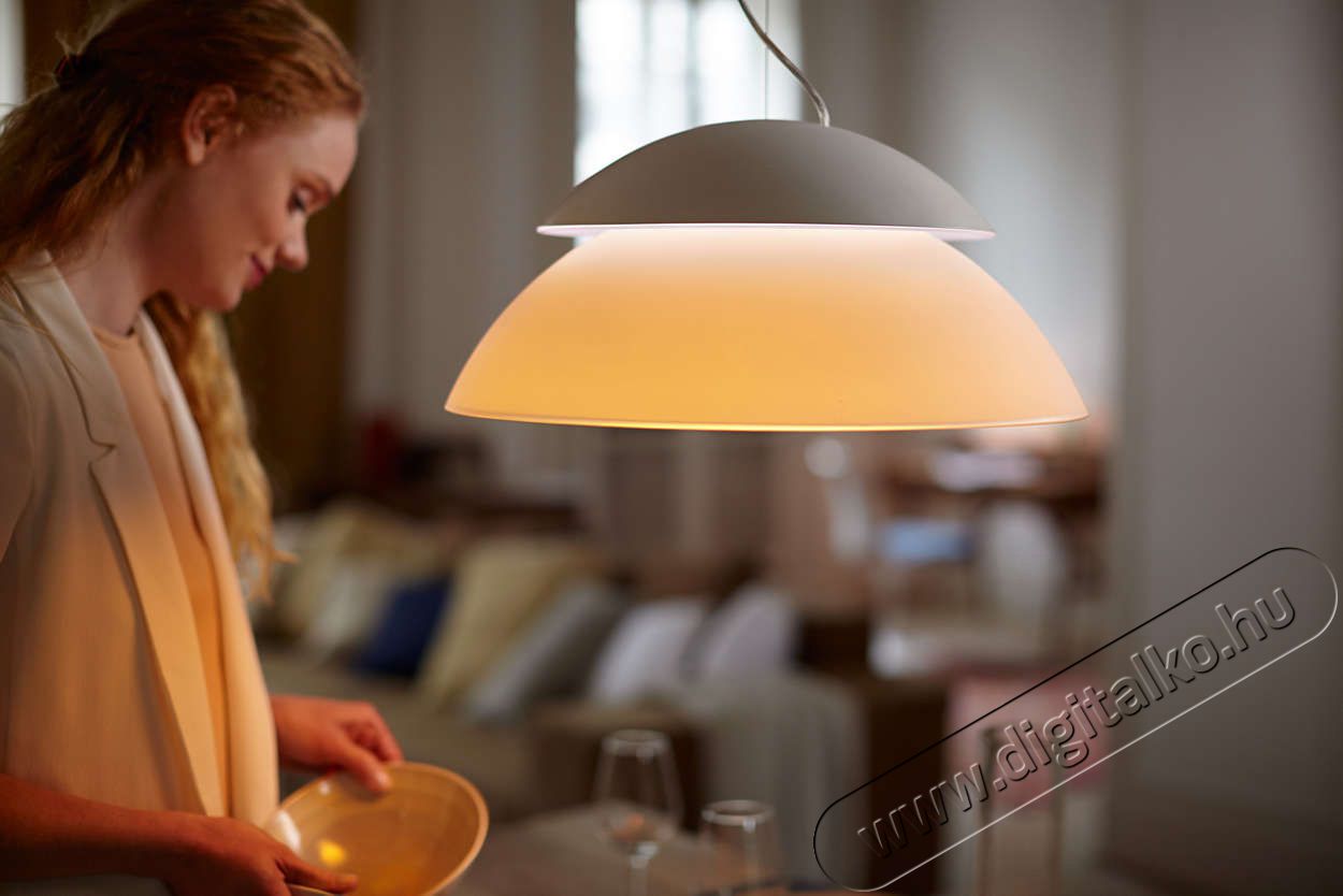 PHILIPS 7120031PH HUE Beyond függesztett lámpa Háztartás / Otthon / Kültér - Világítás / elektromosság - Fali / mennyezeti lámpa - 305369