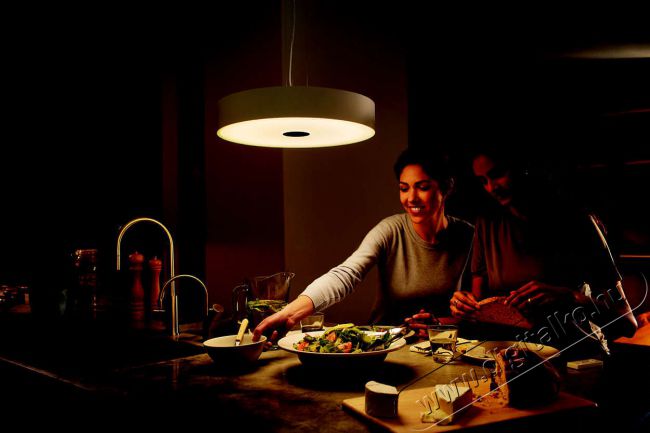 PHILIPS Fair Hue pendant white 1x39W + DIMSwitch 4033931P7-fali l&aacute;mpa H&aacute;ztart&aacute;s / Otthon / K&uuml;lt&eacute;r - Vil&aacute;g&iacute;t&aacute;s / elektromoss&aacute;g - Fali / mennyezeti l&aacute;mpa - 328682