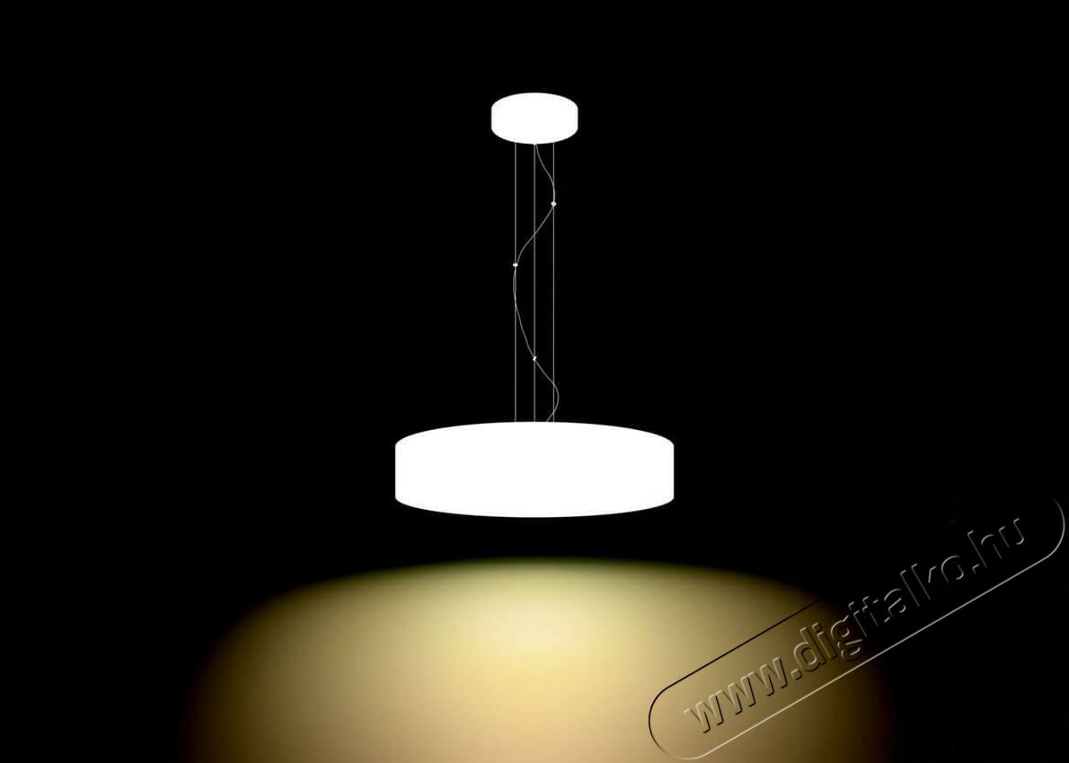 PHILIPS Fair Hue pendant white 1x39W + DIMSwitch 4033931P7-fali l&aacute;mpa H&aacute;ztart&aacute;s / Otthon / K&uuml;lt&eacute;r - Vil&aacute;g&iacute;t&aacute;s / elektromoss&aacute;g - Fali / mennyezeti l&aacute;mpa - 328682