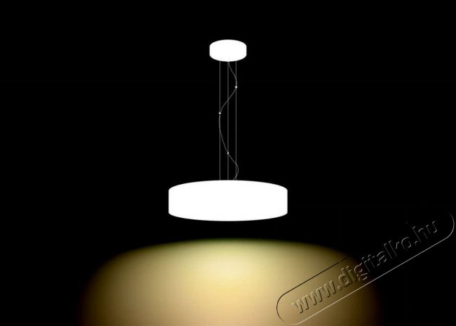 PHILIPS Fair Hue pendant white 1x39W + DIMSwitch 4033931P7-fali l&aacute;mpa H&aacute;ztart&aacute;s / Otthon / K&uuml;lt&eacute;r - Vil&aacute;g&iacute;t&aacute;s / elektromoss&aacute;g - Fali / mennyezeti l&aacute;mpa - 328682