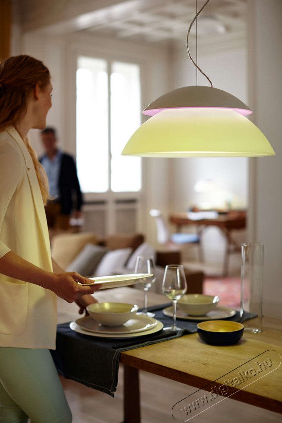 PHILIPS 7120031PH HUE Beyond függesztett lámpa Háztartás / Otthon / Kültér - Világítás / elektromosság - Fali / mennyezeti lámpa - 305369