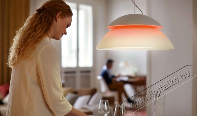 PHILIPS 7120031PH HUE Beyond függesztett lámpa Háztartás / Otthon / Kültér - Világítás / elektromosság - Fali / mennyezeti lámpa - 305369