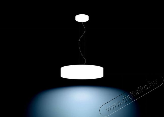 PHILIPS Fair Hue pendant white 1x39W + DIMSwitch 4033931P7-fali l&aacute;mpa H&aacute;ztart&aacute;s / Otthon / K&uuml;lt&eacute;r - Vil&aacute;g&iacute;t&aacute;s / elektromoss&aacute;g - Fali / mennyezeti l&aacute;mpa - 328682