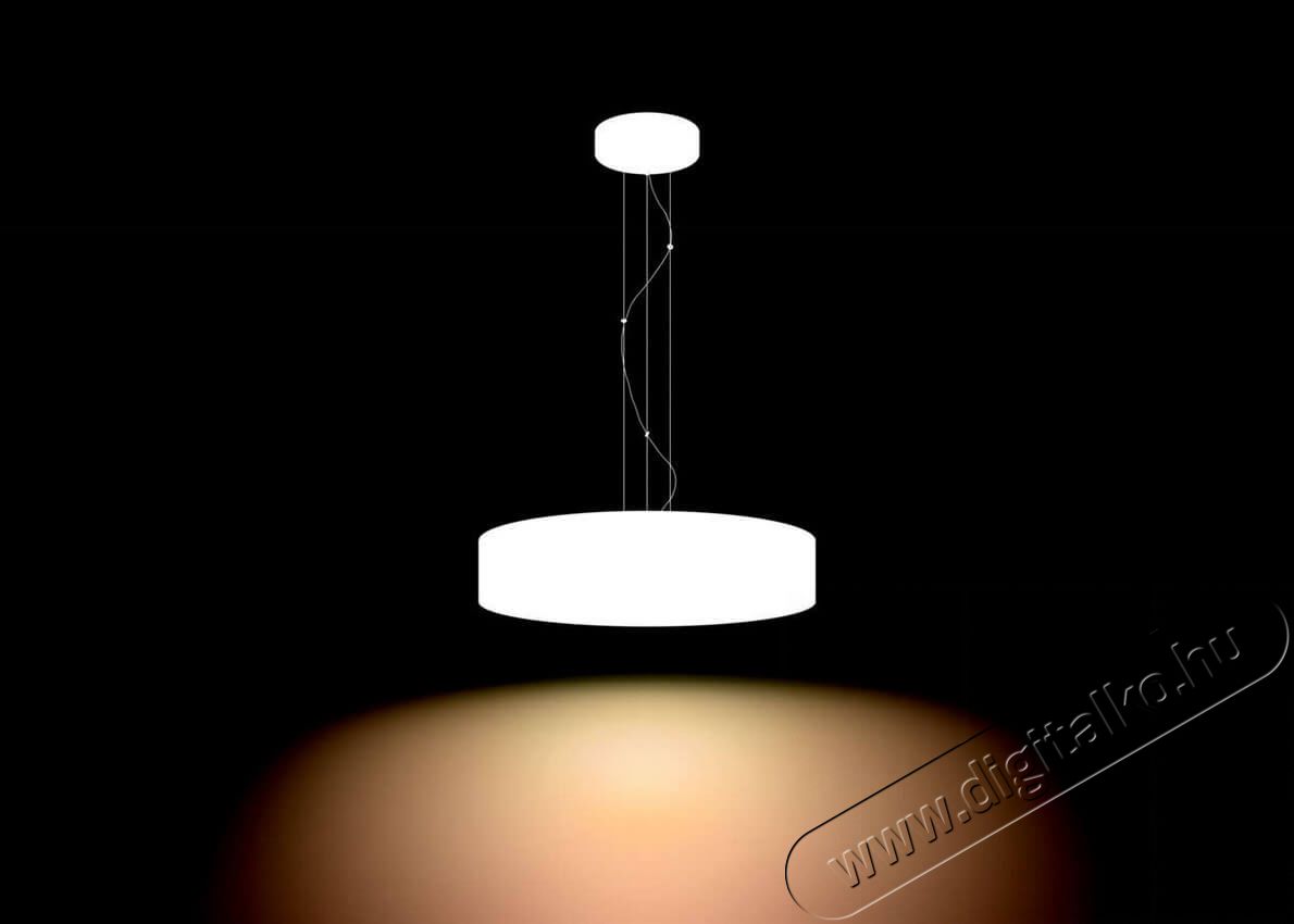 PHILIPS Fair Hue pendant white 1x39W + DIMSwitch 4033931P7-fali l&aacute;mpa H&aacute;ztart&aacute;s / Otthon / K&uuml;lt&eacute;r - Vil&aacute;g&iacute;t&aacute;s / elektromoss&aacute;g - Fali / mennyezeti l&aacute;mpa - 328682