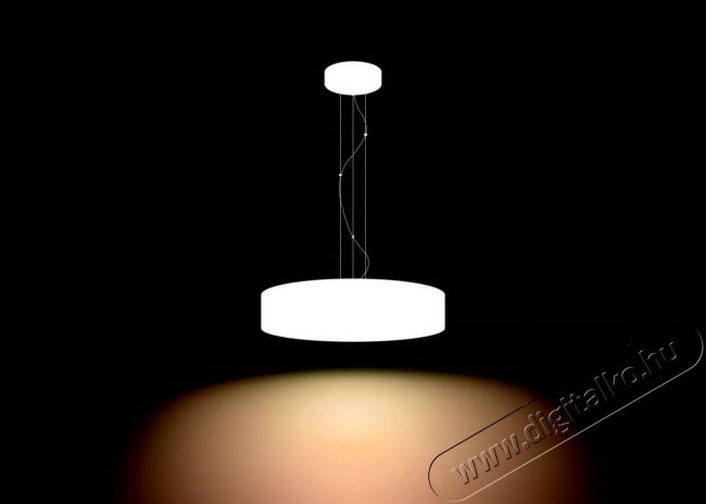 PHILIPS Fair Hue pendant white 1x39W + DIMSwitch 4033931P7-fali l&aacute;mpa H&aacute;ztart&aacute;s / Otthon / K&uuml;lt&eacute;r - Vil&aacute;g&iacute;t&aacute;s / elektromoss&aacute;g - Fali / mennyezeti l&aacute;mpa - 328682