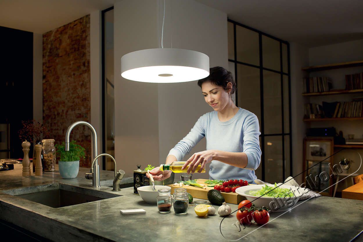 PHILIPS Fair Hue pendant white 1x39W + DIMSwitch 4033931P7-fali l&aacute;mpa H&aacute;ztart&aacute;s / Otthon / K&uuml;lt&eacute;r - Vil&aacute;g&iacute;t&aacute;s / elektromoss&aacute;g - Fali / mennyezeti l&aacute;mpa - 328682