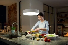 PHILIPS Fair Hue pendant white 1x39W + DIMSwitch 4033931P7-fali l&aacute;mpa H&aacute;ztart&aacute;s / Otthon / K&uuml;lt&eacute;r - Vil&aacute;g&iacute;t&aacute;s / elektromoss&aacute;g - Fali / mennyezeti l&aacute;mpa - 328682