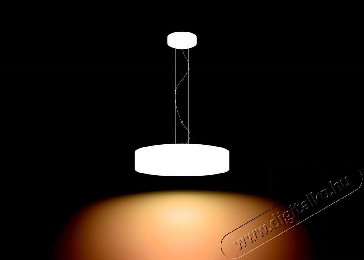 PHILIPS Fair Hue pendant white 1x39W + DIMSwitch 4033931P7-fali l&aacute;mpa H&aacute;ztart&aacute;s / Otthon / K&uuml;lt&eacute;r - Vil&aacute;g&iacute;t&aacute;s / elektromoss&aacute;g - Fali / mennyezeti l&aacute;mpa - 328682