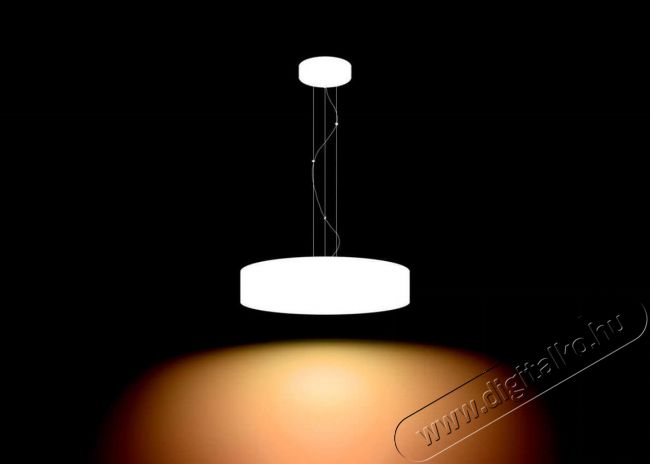 PHILIPS Fair Hue pendant white 1x39W + DIMSwitch 4033931P7-fali l&aacute;mpa H&aacute;ztart&aacute;s / Otthon / K&uuml;lt&eacute;r - Vil&aacute;g&iacute;t&aacute;s / elektromoss&aacute;g - Fali / mennyezeti l&aacute;mpa - 328682