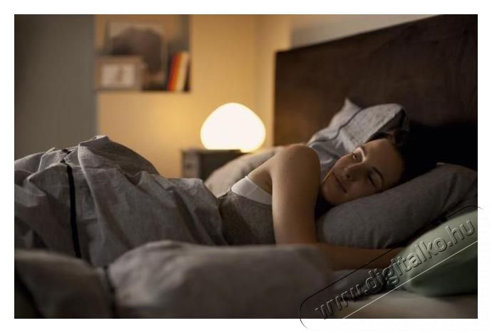 PHILIPS 929001200103 HUE Ambiance Bulb 9,5W E27 izzó Egyéb - Nem forgalmazzuk ! - 312543