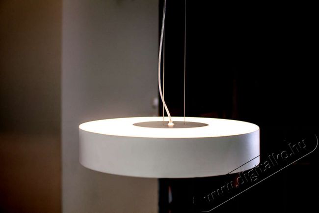 PHILIPS Fair Hue pendant white 1x39W + DIMSwitch 4033931P7-fali l&aacute;mpa H&aacute;ztart&aacute;s / Otthon / K&uuml;lt&eacute;r - Vil&aacute;g&iacute;t&aacute;s / elektromoss&aacute;g - Fali / mennyezeti l&aacute;mpa - 328682