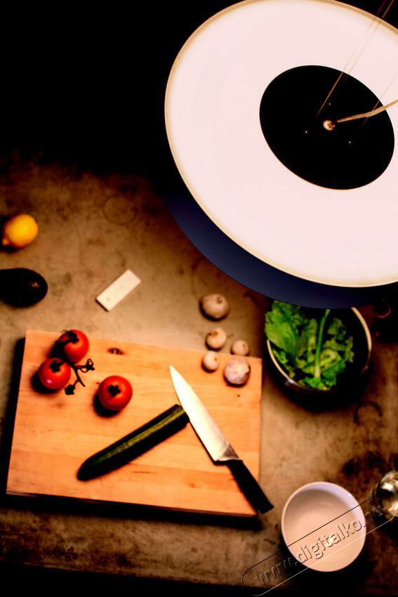 PHILIPS Fair Hue pendant white 1x39W + DIMSwitch 4033931P7-fali l&aacute;mpa H&aacute;ztart&aacute;s / Otthon / K&uuml;lt&eacute;r - Vil&aacute;g&iacute;t&aacute;s / elektromoss&aacute;g - Fali / mennyezeti l&aacute;mpa - 328682