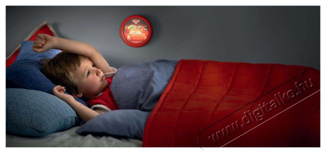 PHILIPS 719243216 Verdák fali lámpa Háztartás / Otthon / Kültér - Világítás / elektromosság - Fali / mennyezeti lámpa - 312536
