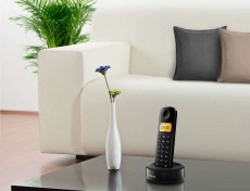PHILIPS D1402B/53 vezeték nélküli telefon Mobil / Kommunikáció / Smart - DECT / cordless telefon - 332044