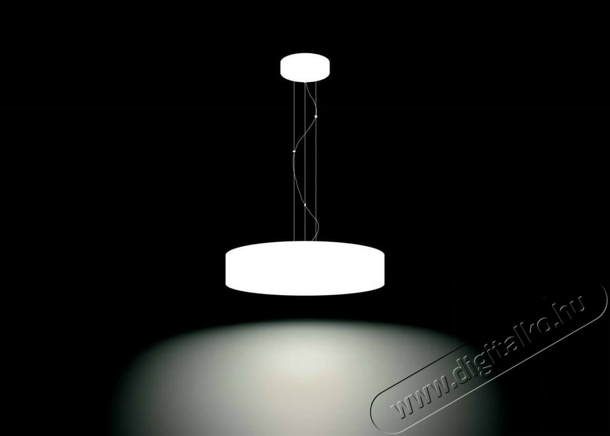 PHILIPS Fair Hue pendant white 1x39W + DIMSwitch 4033931P7-fali l&aacute;mpa H&aacute;ztart&aacute;s / Otthon / K&uuml;lt&eacute;r - Vil&aacute;g&iacute;t&aacute;s / elektromoss&aacute;g - Fali / mennyezeti l&aacute;mpa - 328682