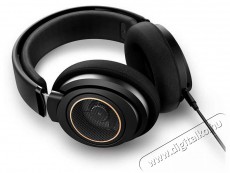 PHILIPS SHP9600/00 fejhallgató Audio-Video / Hifi / Multimédia - Fül és Fejhallgatók - Fejhallgató - 378976