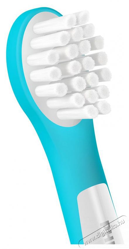 PHILIPS HX6032/90 GYEREK FOGKEFEFEJ 2 DB Sz&eacute;ps&eacute;g&aacute;pol&aacute;s / Eg&eacute;szs&eacute;g - Sz&aacute;j / fog &aacute;pol&aacute;s - Kieg&eacute;sz&iacute;tő - 517144