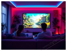PHILIPS GamePix 800 Telev&iacute;zi&oacute;k - Kivet&iacute;tő - Kivet&iacute;tő - 525605