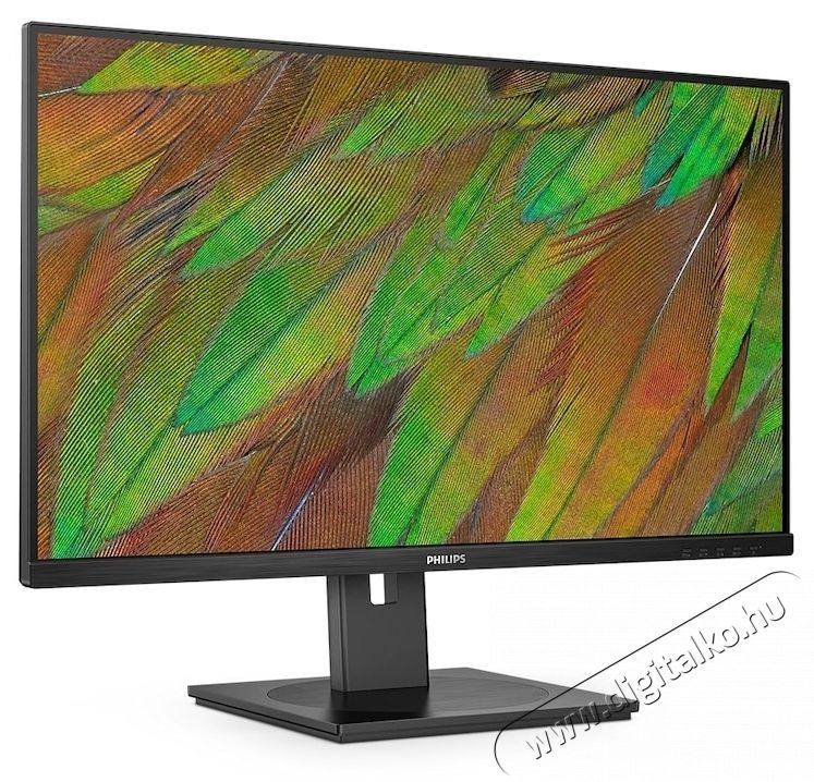 PHILIPS 32B1N3800/00 31.5  VA LED monitor, UHD (3840x2160), 60Hz, 4ms, 3W x2 hangsz&oacute;r&oacute;, USB-eloszt&oacute;, 2x HDMI, Display Port, Jack, Pivot, fekete Iroda &eacute;s sz&aacute;m&iacute;t&aacute;stechnika - Monitor - Monitor - 533689
