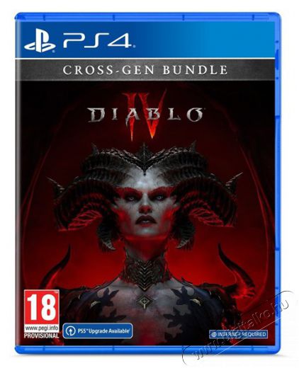 PLAION Diablo IV PS4 játékszoftver Iroda és számítástechnika - Játék konzol - Playstation 4 (PS4) játék - 461765