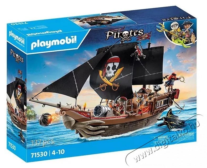 PLAYMOBIL 71530 Nagy kal&oacute;zhaj&oacute; H&aacute;ztart&aacute;s / Otthon / K&uuml;lt&eacute;r - J&aacute;t&eacute;k / Sport - J&aacute;t&eacute;kfigura - 532039