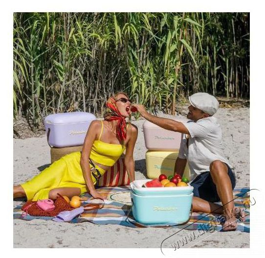 Polarbox hűtődoboz POP 20 l k&eacute;k &Uacute;jdons&aacute;gok - &Uacute;j term&eacute;kek - 527865