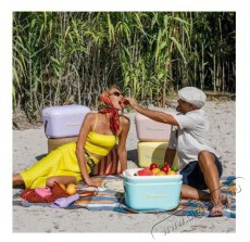 Polarbox hűtődoboz POP 20 l k&eacute;k &Uacute;jdons&aacute;gok - &Uacute;j term&eacute;kek - 527865