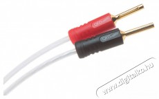 QED QE2440 kábel csatlakozó Tv kiegészítők - Kábel / csatlakozó - Jack-RCA kábel - 403249