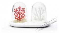 Qualy Coral Só- és borsszóró Konyhai termékek - Konyhai eszköz - Só és bors örlő - 527879