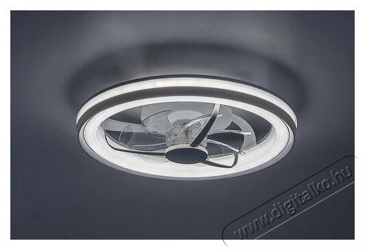 R&Aacute;BALUX Fanricius 71335 ventil&aacute;torral H&aacute;ztart&aacute;s / Otthon / K&uuml;lt&eacute;r - Vil&aacute;g&iacute;t&aacute;s / elektromoss&aacute;g - Fali / mennyezeti l&aacute;mpa - 512225