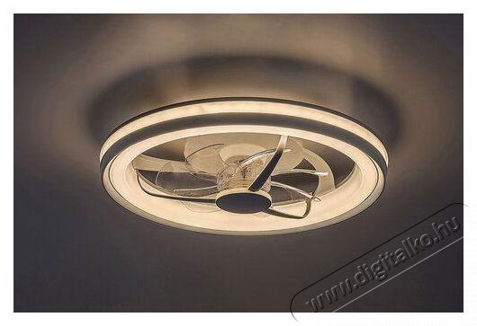 R&Aacute;BALUX Fanricius 71335 ventil&aacute;torral H&aacute;ztart&aacute;s / Otthon / K&uuml;lt&eacute;r - Vil&aacute;g&iacute;t&aacute;s / elektromoss&aacute;g - Fali / mennyezeti l&aacute;mpa - 512225