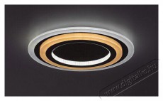 RÁBALUX Taneli2 71315 Háztartás / Otthon / Kültér - Világítás / elektromosság - Fali / mennyezeti lámpa - 512227