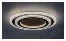 RÁBALUX Taneli2 71314 Háztartás / Otthon / Kültér - Világítás / elektromosság - Fali / mennyezeti lámpa - 512229