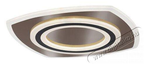 R&Aacute;BALUX Taneli2 71317 H&aacute;ztart&aacute;s / Otthon / K&uuml;lt&eacute;r - Vil&aacute;g&iacute;t&aacute;s / elektromoss&aacute;g - Fali / mennyezeti l&aacute;mpa - 512233