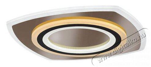 R&Aacute;BALUX Taneli2 71317 H&aacute;ztart&aacute;s / Otthon / K&uuml;lt&eacute;r - Vil&aacute;g&iacute;t&aacute;s / elektromoss&aacute;g - Fali / mennyezeti l&aacute;mpa - 512233