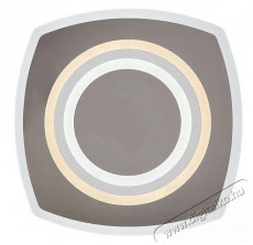 R&Aacute;BALUX Taneli2 71318 H&aacute;ztart&aacute;s / Otthon / K&uuml;lt&eacute;r - Vil&aacute;g&iacute;t&aacute;s / elektromoss&aacute;g - Fali / mennyezeti l&aacute;mpa - 512230