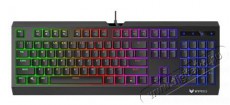 Rapoo V-SERIES V52PRO 216869 fél-mechanikus gamer billentyűzet Iroda és számítástechnika - Billentyűzet / billentyűzet szett - Vezetékes - 374660