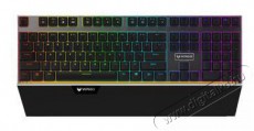 Rapoo V-SERIES V720RGB 216871 mechanikus gamer billentyűzet Iroda és számítástechnika - Billentyűzet / billentyűzet szett - Vezetékes - 374661