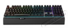 Rapoo V-SERIES V720RGB 216871 mechanikus gamer billentyűzet Iroda és számítástechnika - Billentyűzet / billentyűzet szett - Vezetékes - 374661
