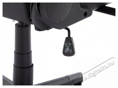 Rapture PODIUM fekete Iroda &eacute;s sz&aacute;m&iacute;t&aacute;stechnika - Egy&eacute;b sz&aacute;m&iacute;t&aacute;stechnikai term&eacute;k - 518429