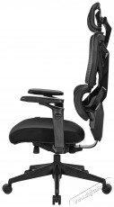 Rapture PROWLER, fekete gamer sz&eacute;k H&aacute;ztart&aacute;s / Otthon / K&uuml;lt&eacute;r - Egy&eacute;b h&aacute;ztart&aacute;si term&eacute;k - 535635