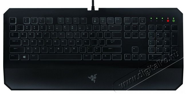 Razer DeathStalker Essential 2014 Gamer billentyűzet (RZ03-01060100-R3M1) Iroda és számítástechnika - Billentyűzet / billentyűzet szett - Vezetékes - 324595