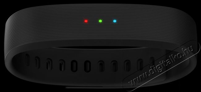 Razer Nabu X okoskarkötő (RZ15-01290100-R3G1) - fekete Mobil / Kommunikáció / Smart - Okos eszköz - Okos karkötő - 324631