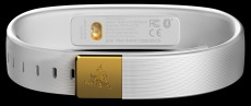 Razer Nabu X okoskarkötő (RZ15-01290200-R3G1) - fehér Mobil / Kommunikáció / Smart - Okos eszköz - Okos karkötő - 324632