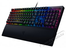 Razer BlackWidow V3 (RZ03-03540100-R3M1)  Iroda és számítástechnika - Billentyűzet / billentyűzet szett - Vezetékes - 373921