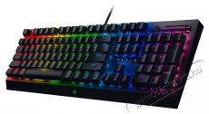 Razer BlackWidow V3 (RZ03-03540100-R3M1)  Iroda és számítástechnika - Billentyűzet / billentyűzet szett - Vezetékes - 373921