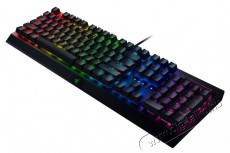 Razer BlackWidow V3 (RZ03-03540100-R3M1)  Iroda és számítástechnika - Billentyűzet / billentyűzet szett - Vezetékes - 373921