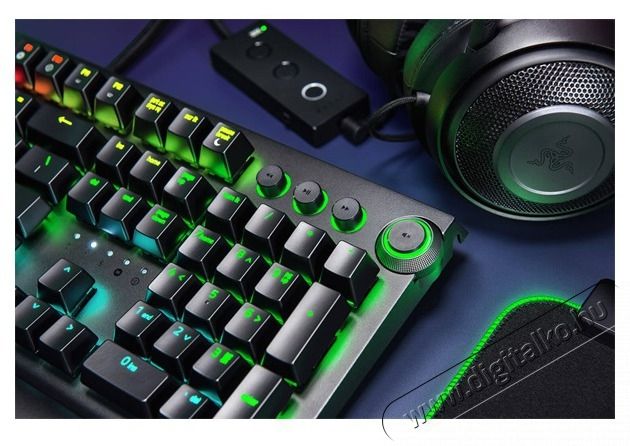Razer BlackWidow Elite (orange switch) US gamer billentyűzet Iroda &eacute;s sz&aacute;m&iacute;t&aacute;stechnika - Billentyűzet / billentyűzet szett - Vezet&eacute;kes - 440290